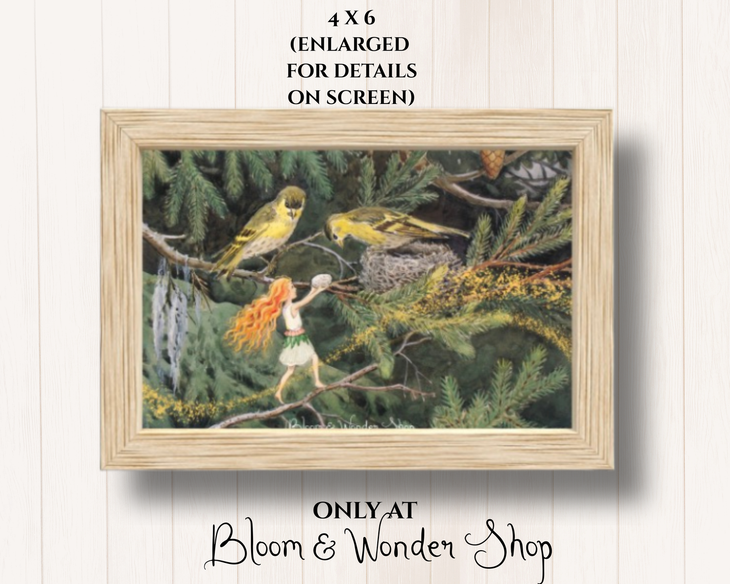 Vintage Botanical Flower Fairies Gallery Wall Art Set - Six Framed Gallery Prints