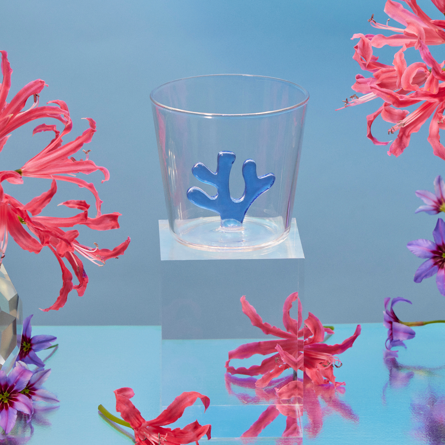 Whimsical Coral Borosilicate Glass Water Tumblers