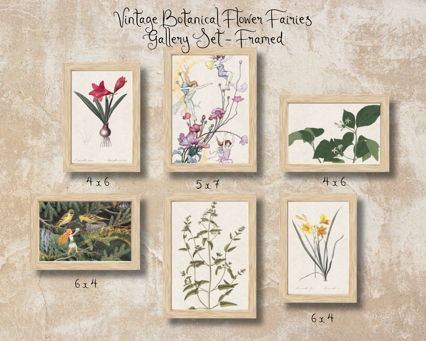 Vintage Botanical Flower Fairies Gallery Wall Art Set - Six Framed Gallery Prints