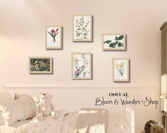 Vintage Botanical Flower Fairies Gallery Wall Art Set - Six Framed Gallery Prints