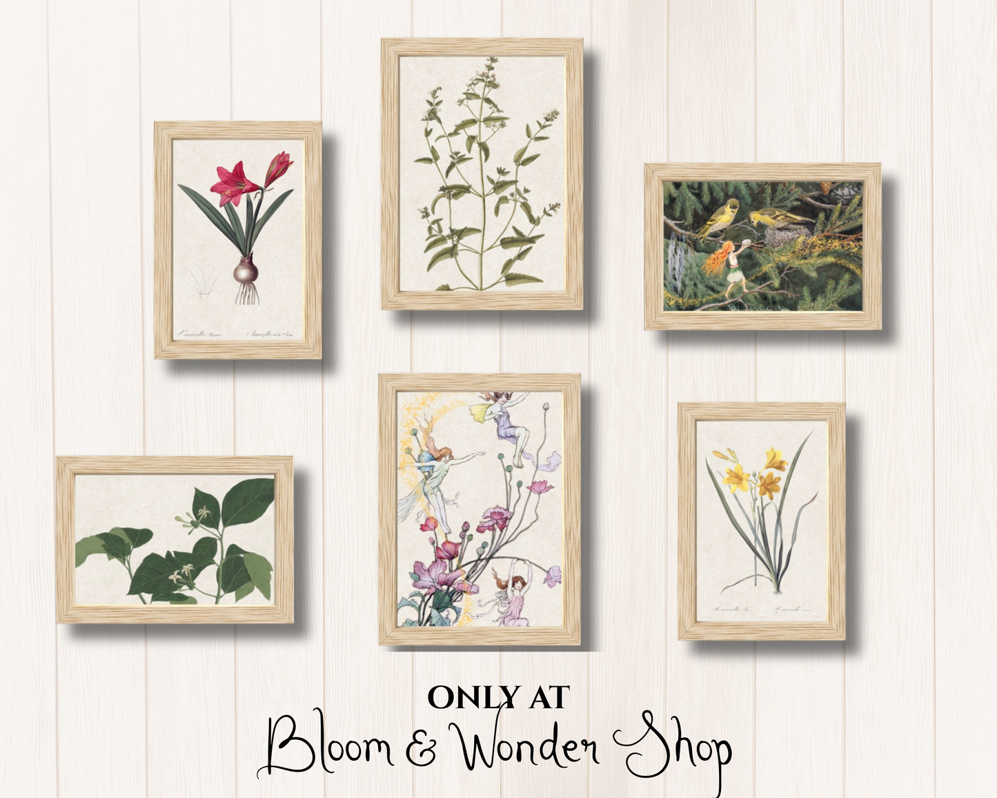 Vintage Botanical Flower Fairies Gallery Wall Art Set - Six Framed Gallery Prints