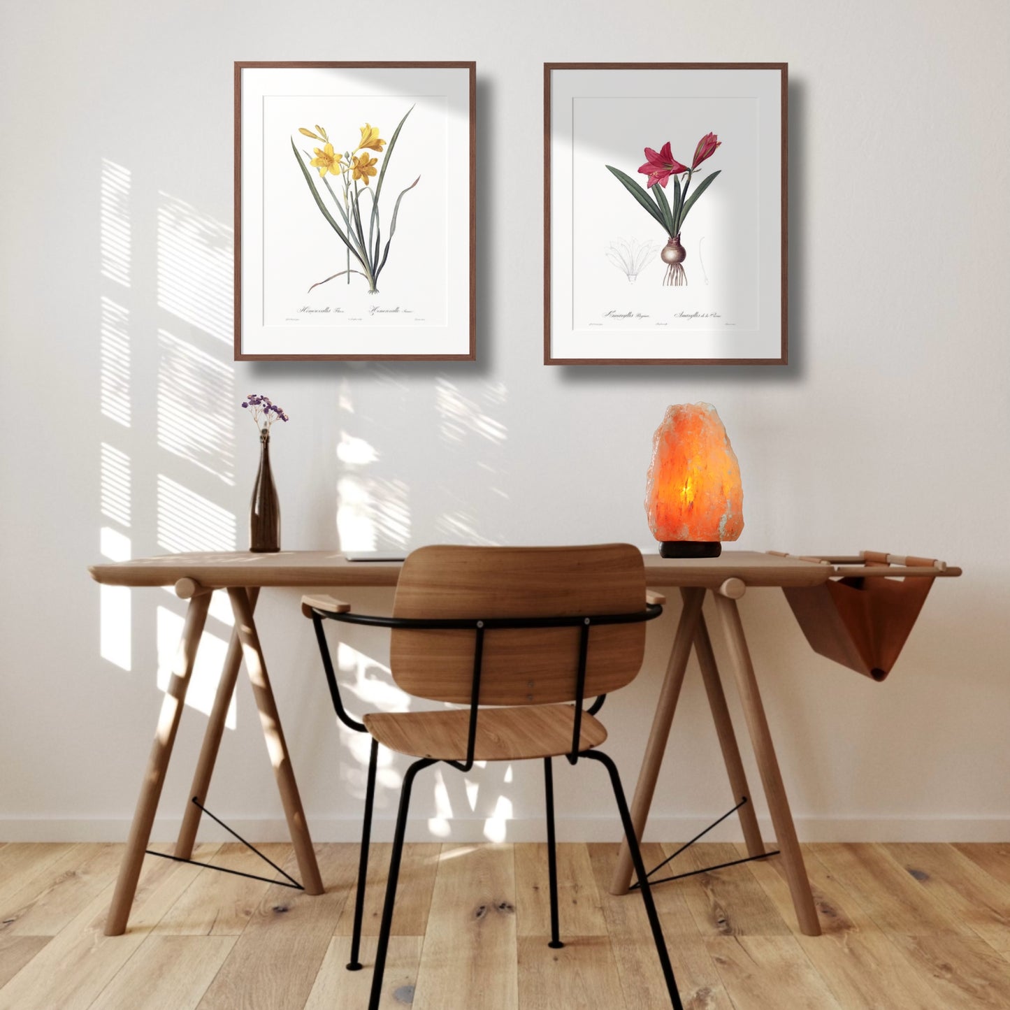 Lily Vintage Botanical Wall Art Hand-Drawn Sketches - Daylily and Mexican Lily, Set of Two 16" x 24" Framed
