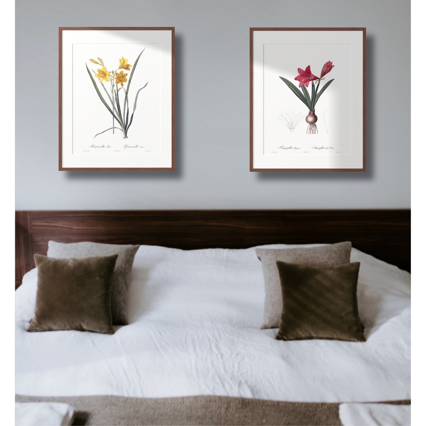 Lily Vintage Botanical Wall Art Hand-Drawn Sketches - Daylily and Mexican Lily, Set of Two 16" x 24" Framed