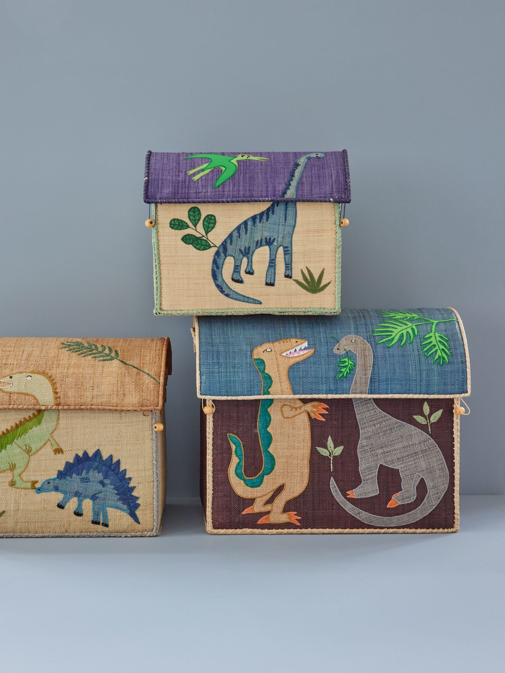 Natural Raffia Storage Baskets for Children with Dinosaur Theme - Set of 3