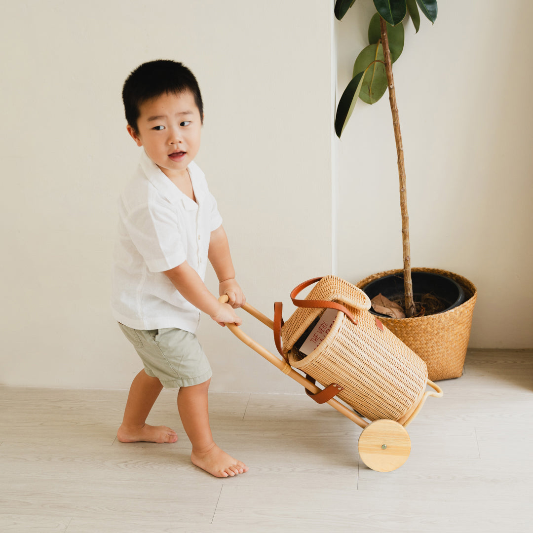 Eric Kids Rattan Shopping Trolley
