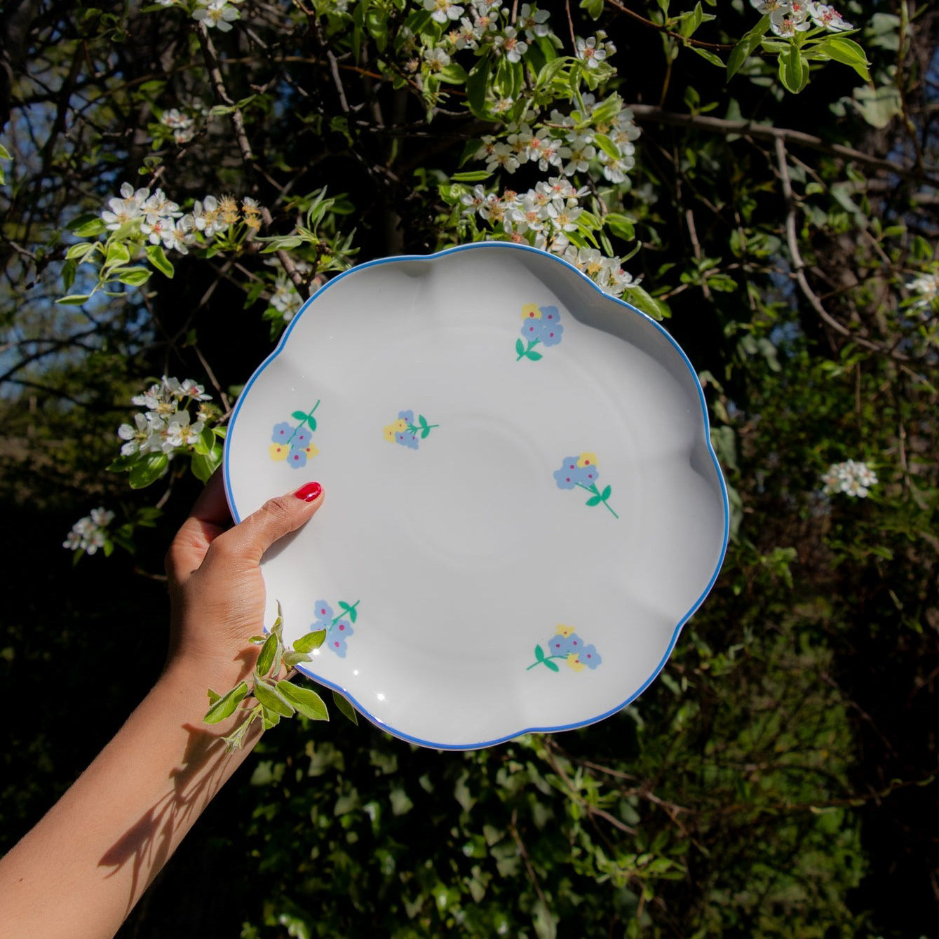 Hand holding a decorative plate with floral patterns against a natural background