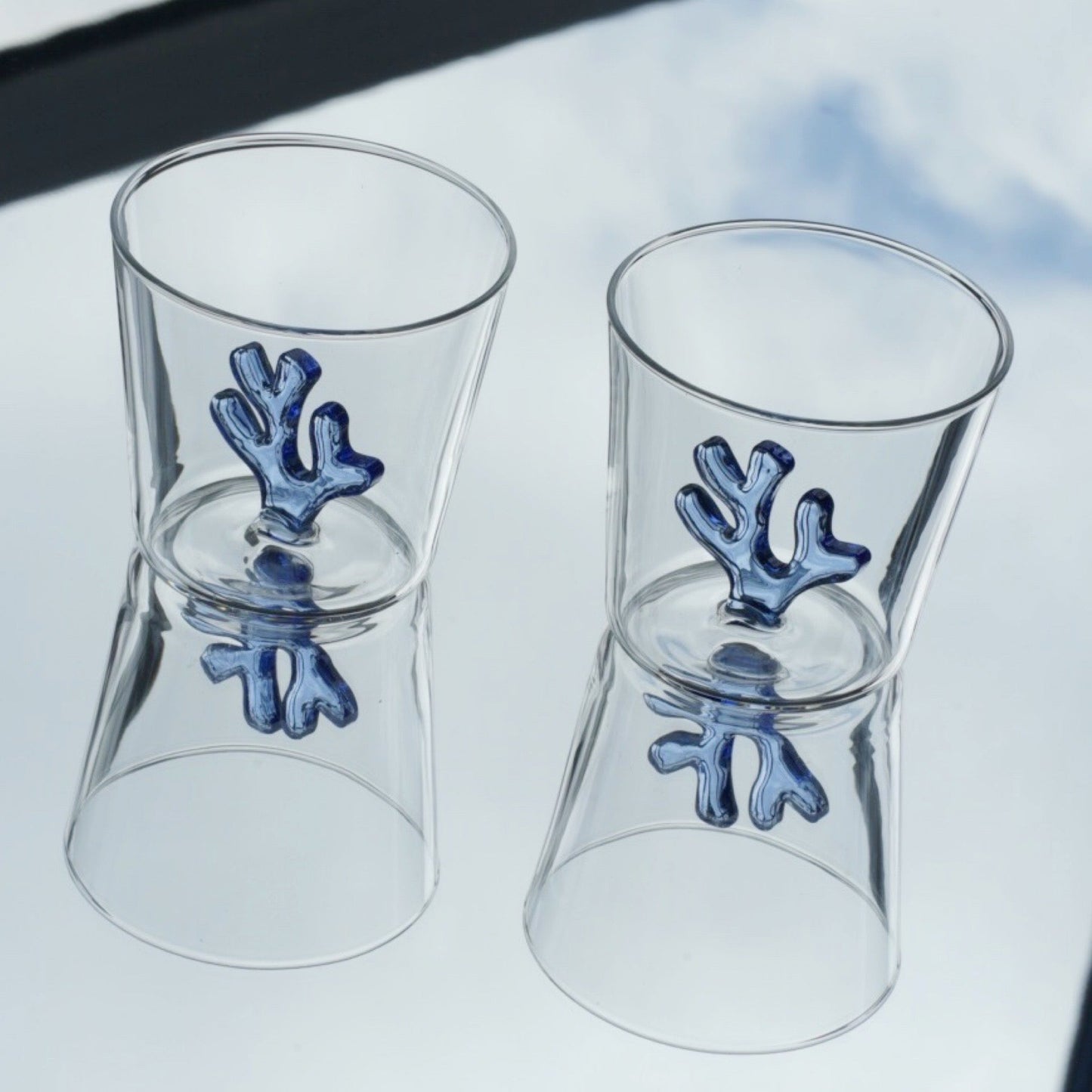 Whimsical Coral Borosilicate Glass Water Tumblers