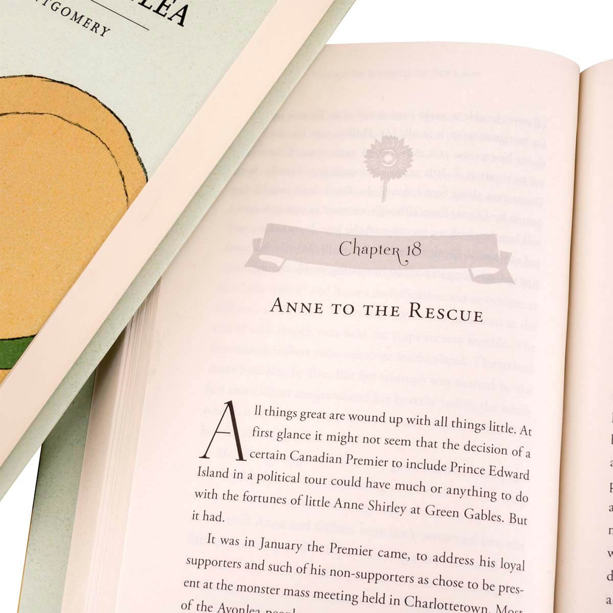 Anne of Green Gables Exclusive Hardcover Book Set