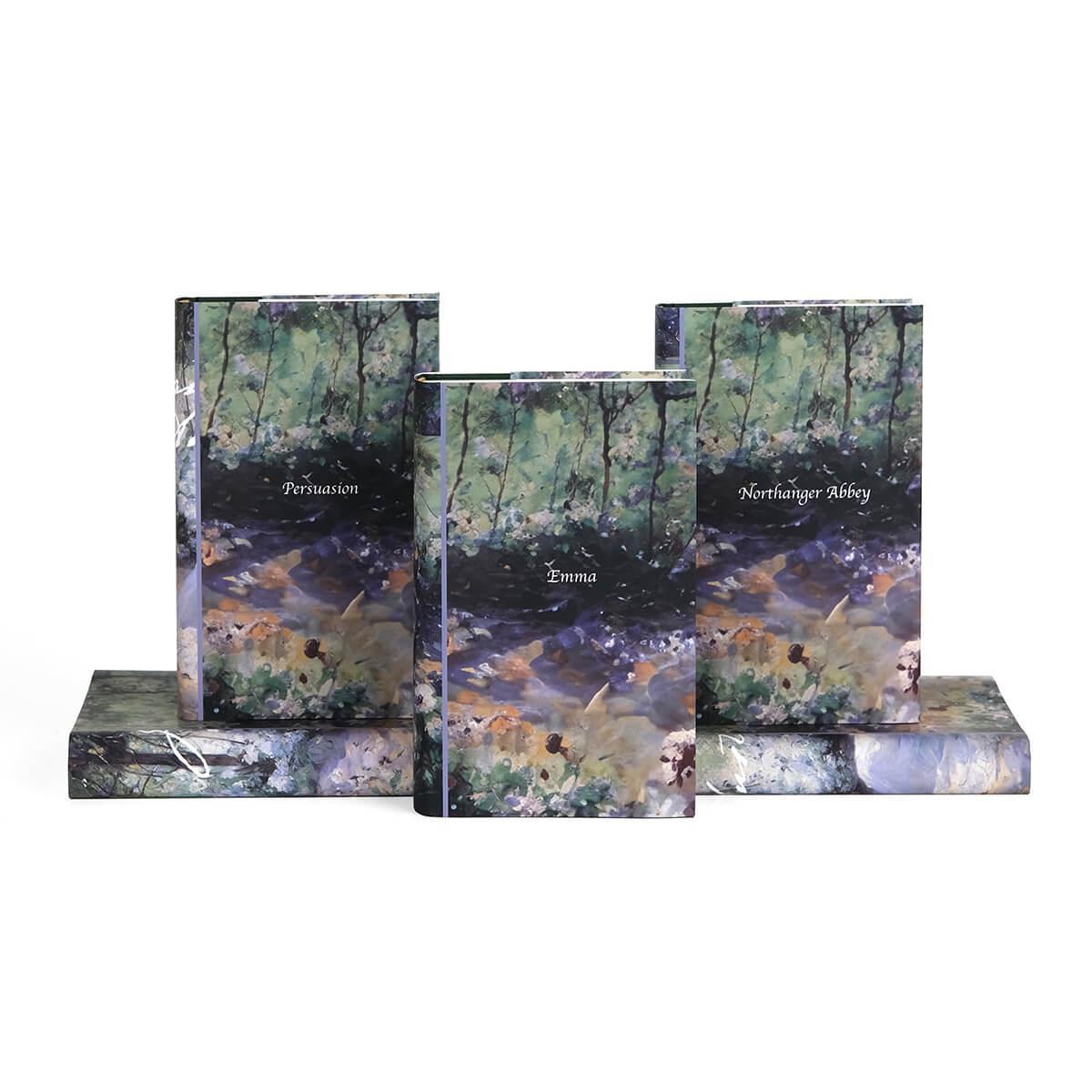 Jane Austen Exclusive Delicious Solitude Book Set