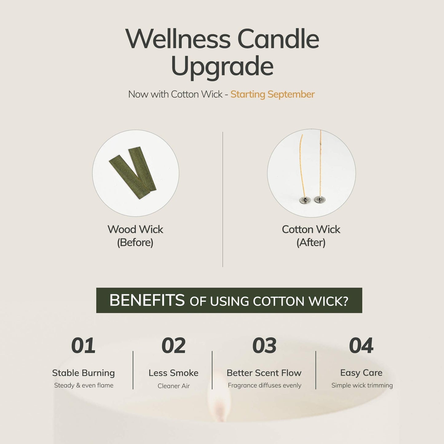 Wellness Candle - Orange, Vanilla, Frankincense + Myrrh